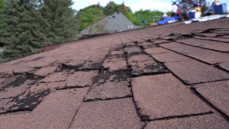 Best Rubber Roofing (EPDM, TPO)  in Ponder, TX