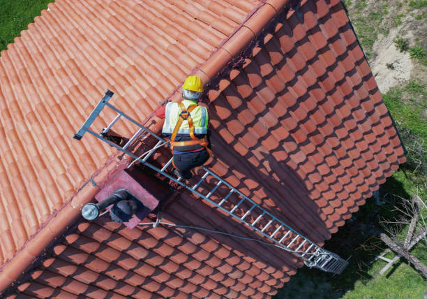Best Roof Moss and Algae Removal  in Ponder, TX